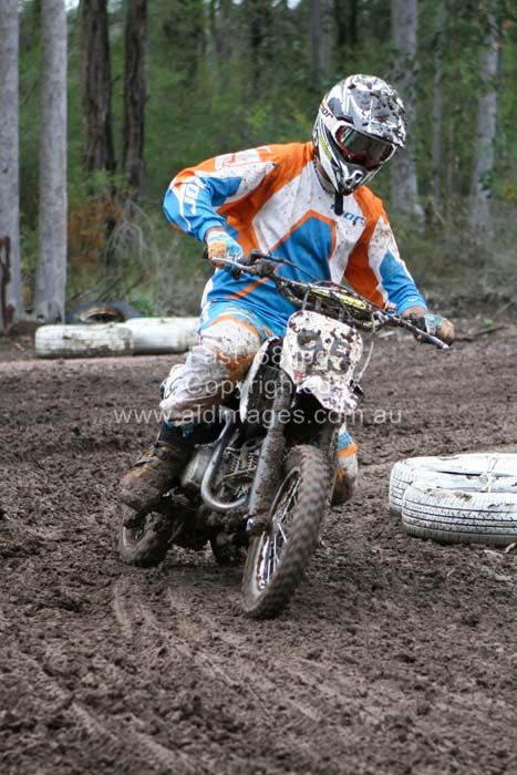 445x677 pixels (78K)